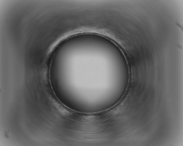 X0000097851502200803141206