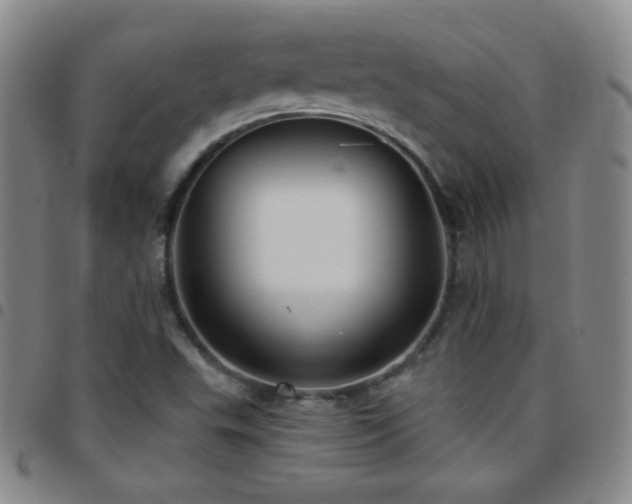 X0000097851503200803141206
