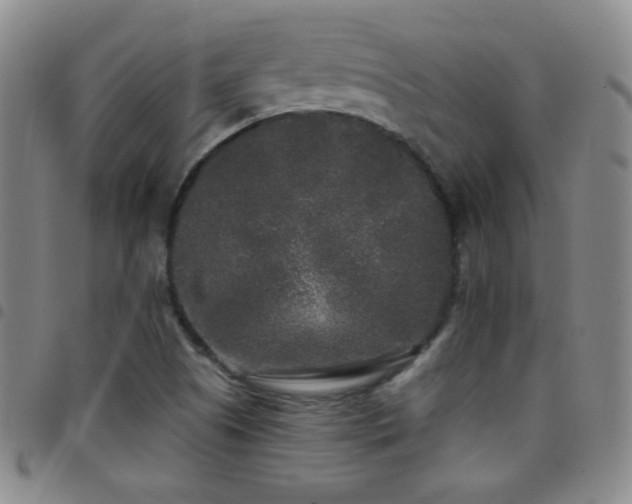 X0000097851505200803141206