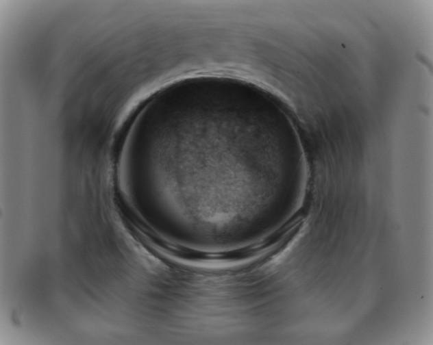 X0000097851506200803141206