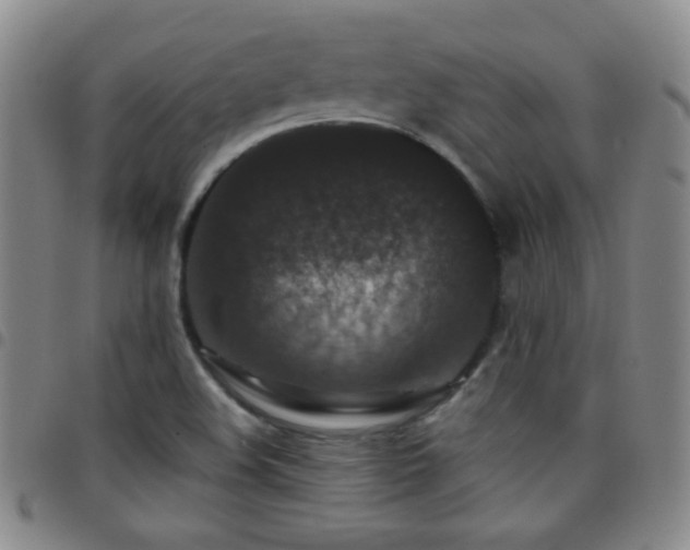 X0000097851508200803141206