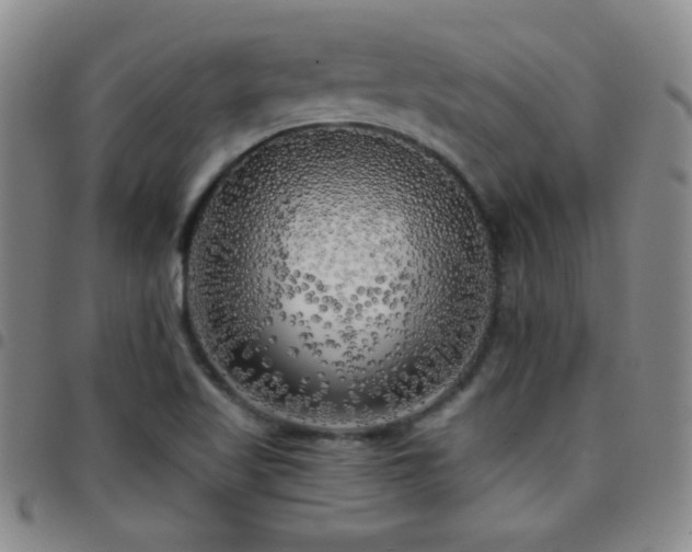X0000097851509200803141206
