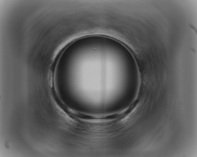 X0000097851510200803141206
