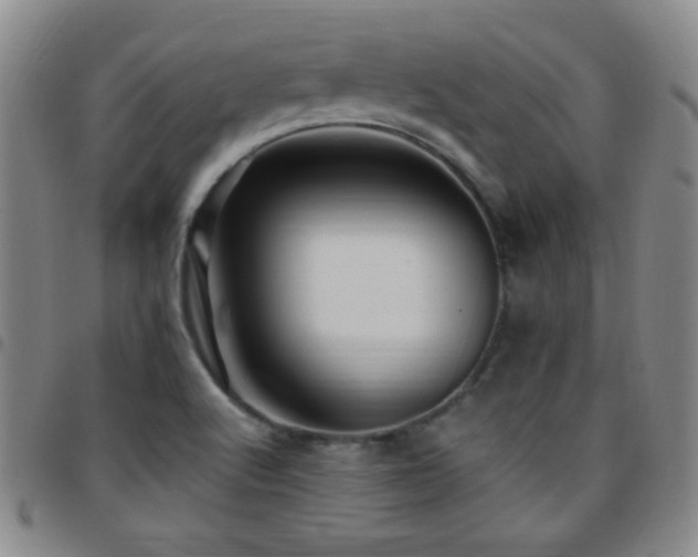 X0000097851512200803141206