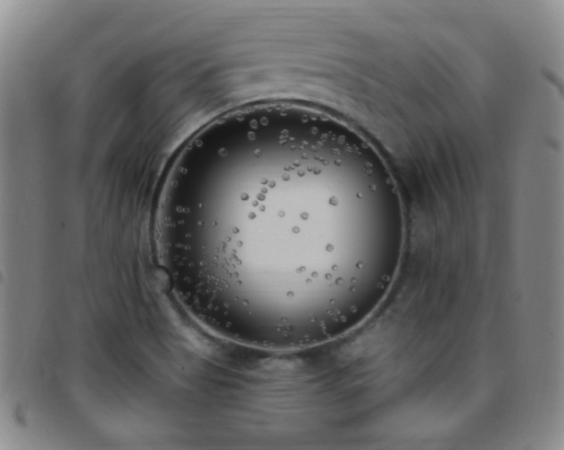 X0000097851513200803141206