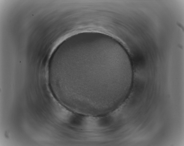 X0000097851514200803141206