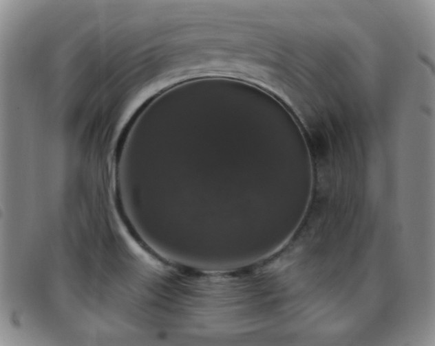 X0000097851515200803141206