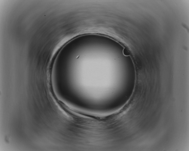 X0000097851517200803141206