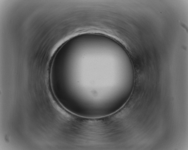 X0000097851518200803141206