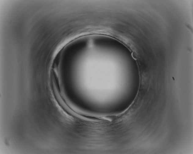 X0000097851520200803141206