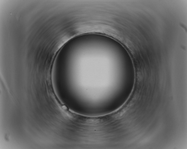X0000097851521200803141206