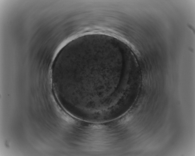 X0000097851522200803141206
