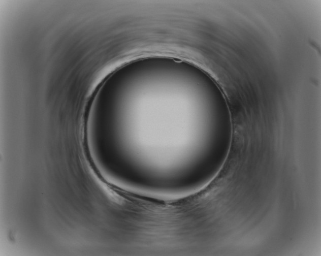 X0000097851523200803141206