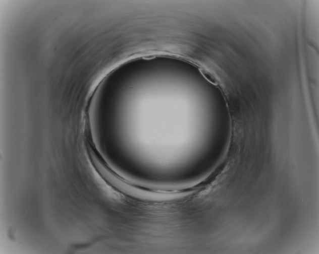 X0000097851524200803141206