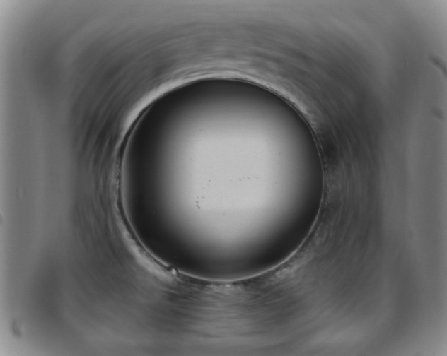 X0000097851526200803141206