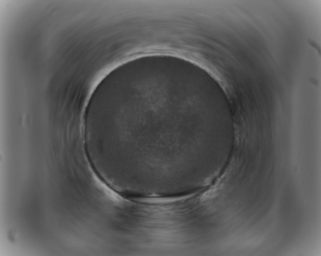 X0000097851527200803141206