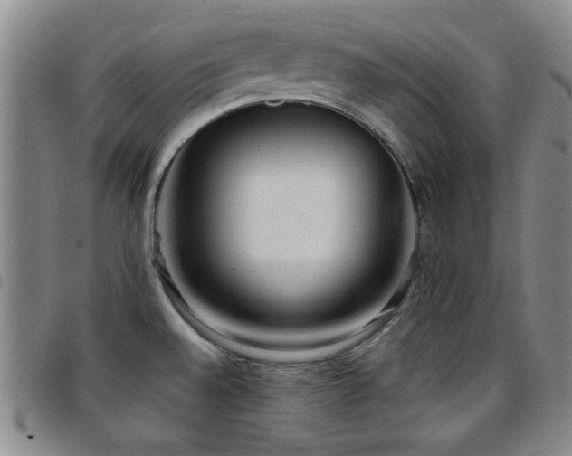 X0000097851528200803141206