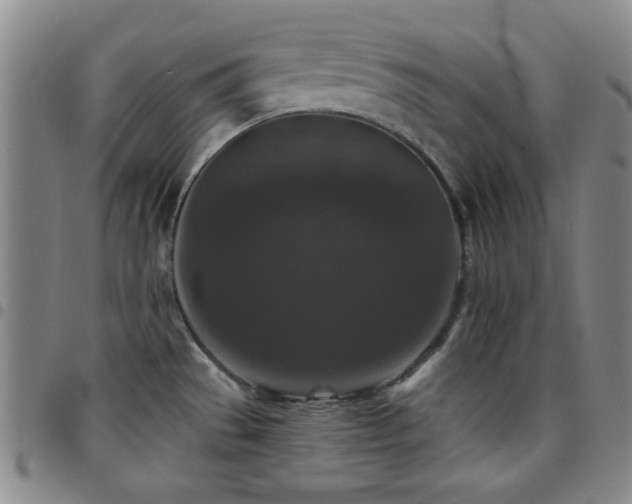 X0000097851529200803141206