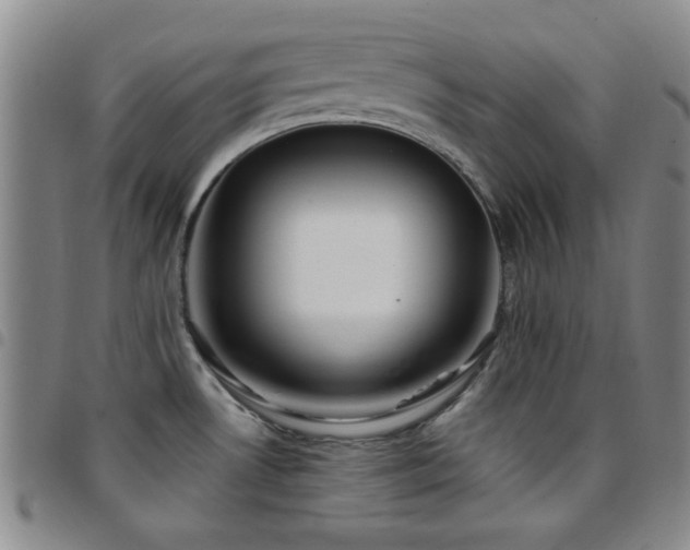X0000097851530200803141206