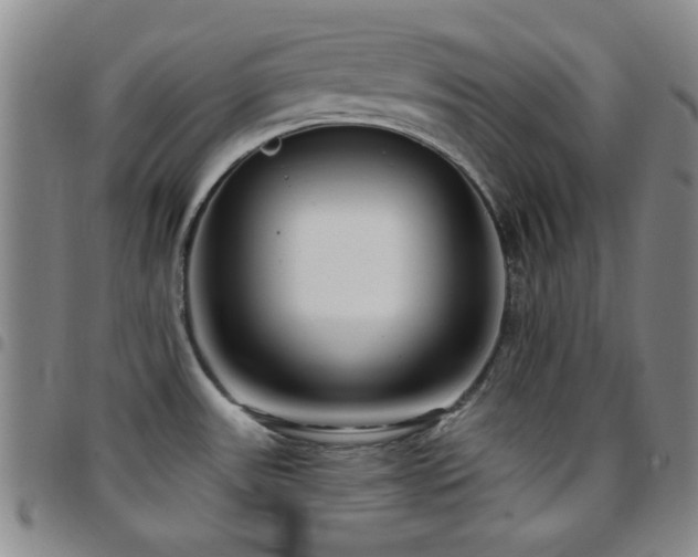 X0000097851531200803141206