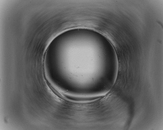 X0000097851532200803141206