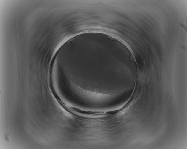 X0000097851533200803141206