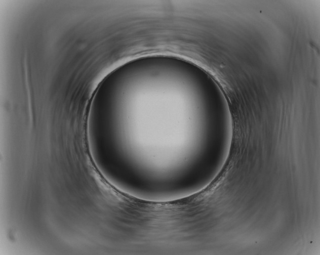 X0000097851534200803141206