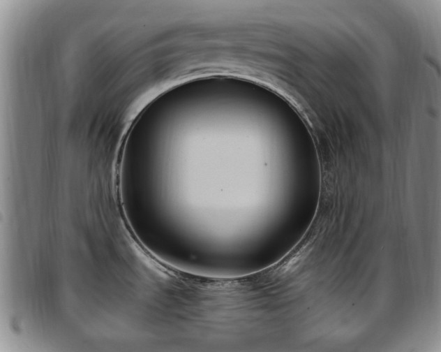 X0000097851535200803141206