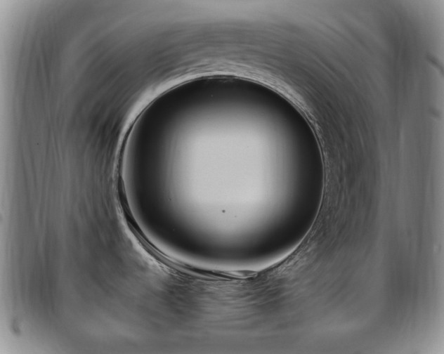 X0000097851536200803141206