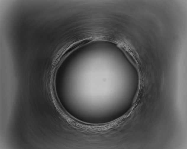 X0000097850001200803201547