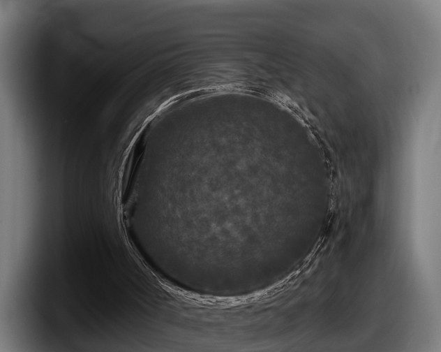 X0000097850002200803201547