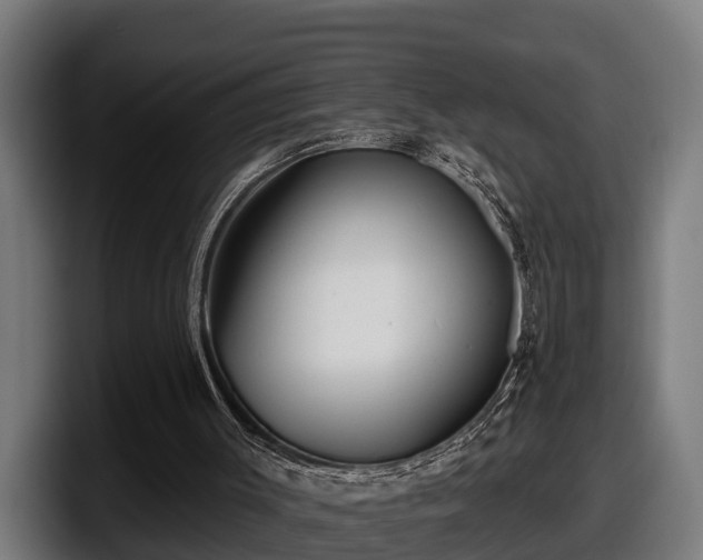 X0000097850003200803201547