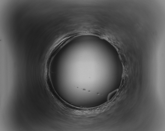 X0000097850005200803201547