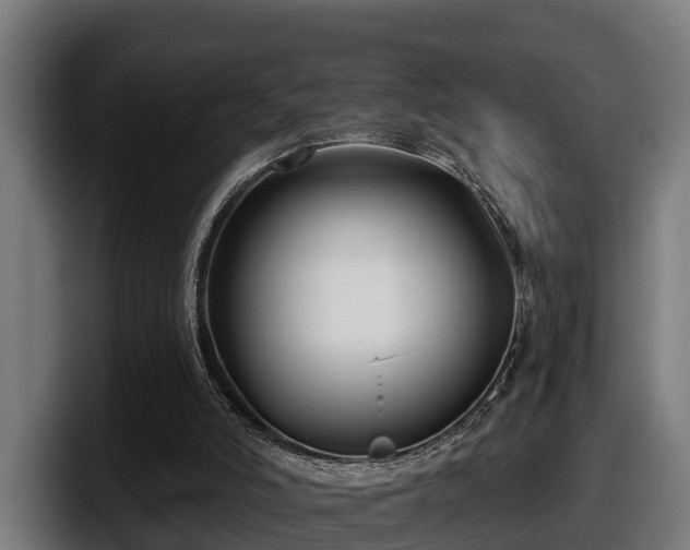 X0000097850006200803201547