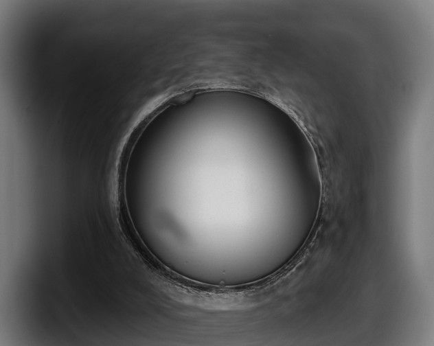 X0000097850008200803201547