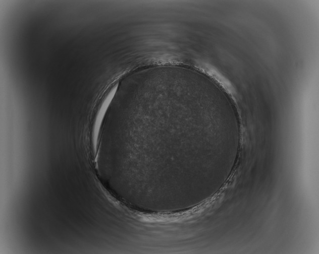 X0000097850009200803201547