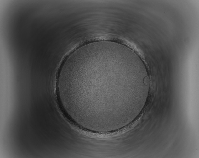 X0000097850010200803201547