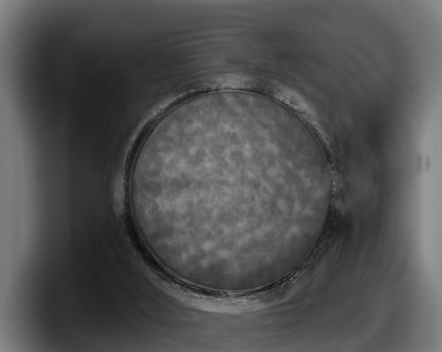 X0000097850012200803201547