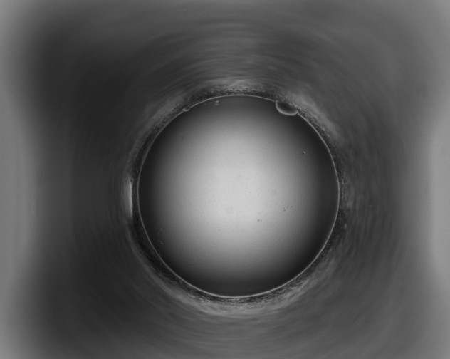 X0000097850014200803201547