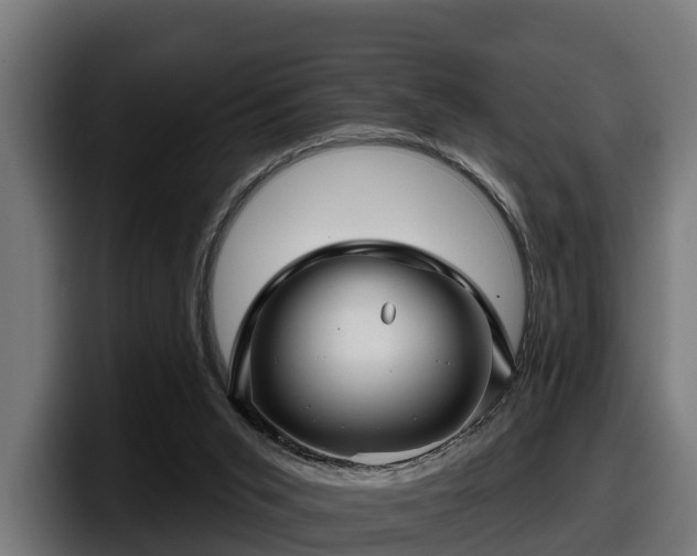 X0000097850015200803201547