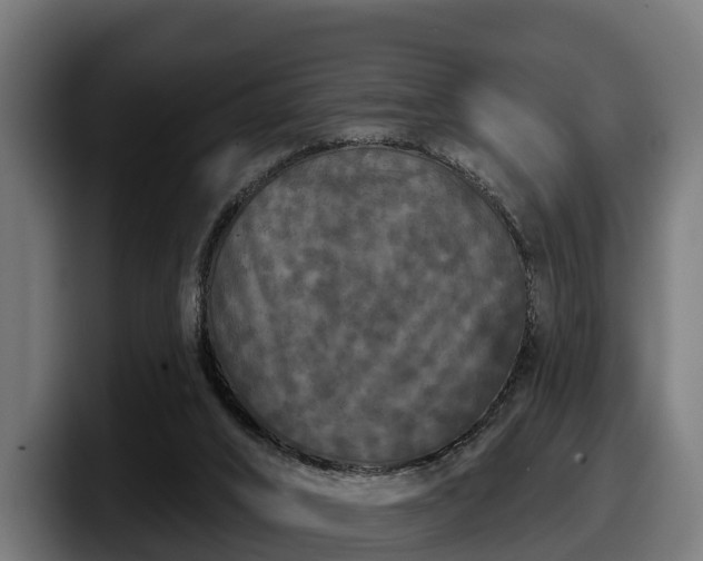 X0000097850016200803201547