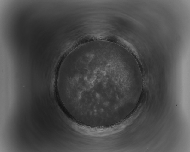 X0000097850018200803201547