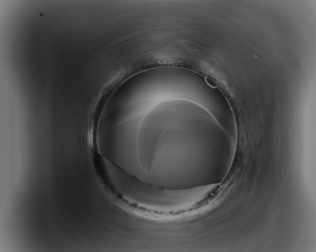 X0000097850019200803201547