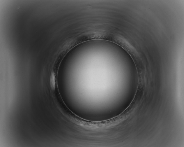 X0000097850022200803201547