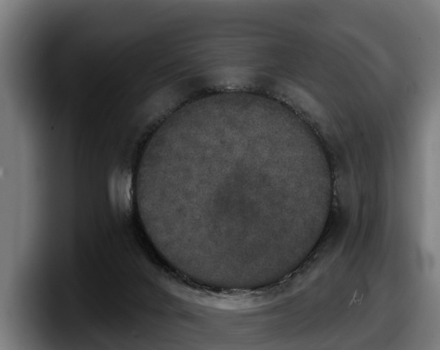 X0000097850024200803201547