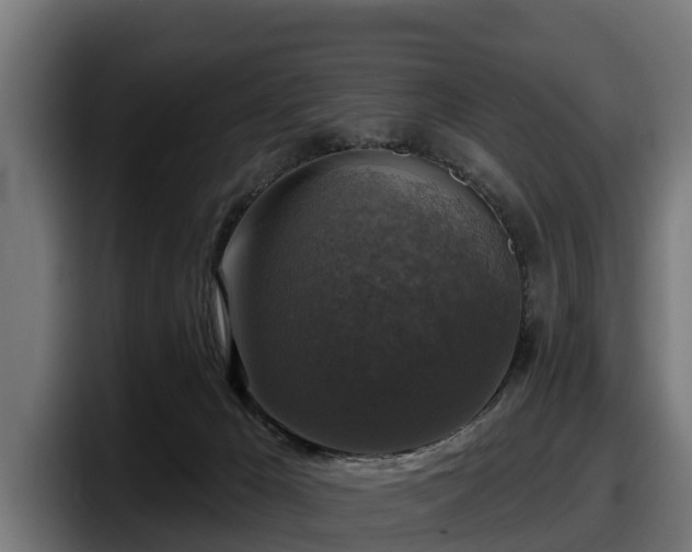 X0000097850029200803201547