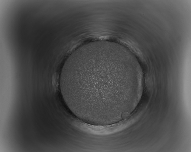 X0000097850030200803201547