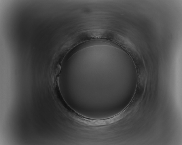 X0000097850031200803201547