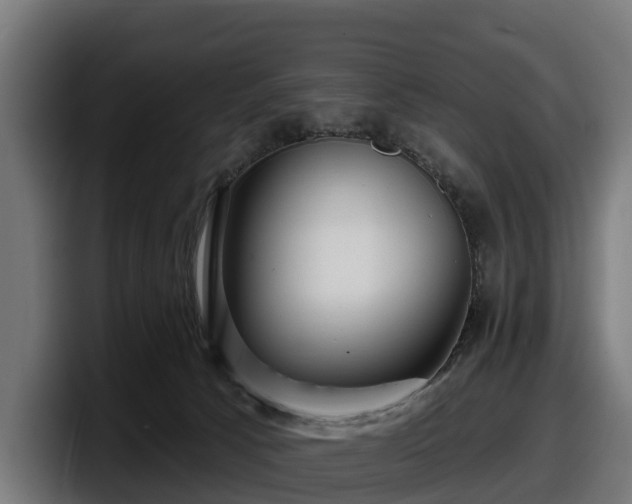 X0000097850033200803201547