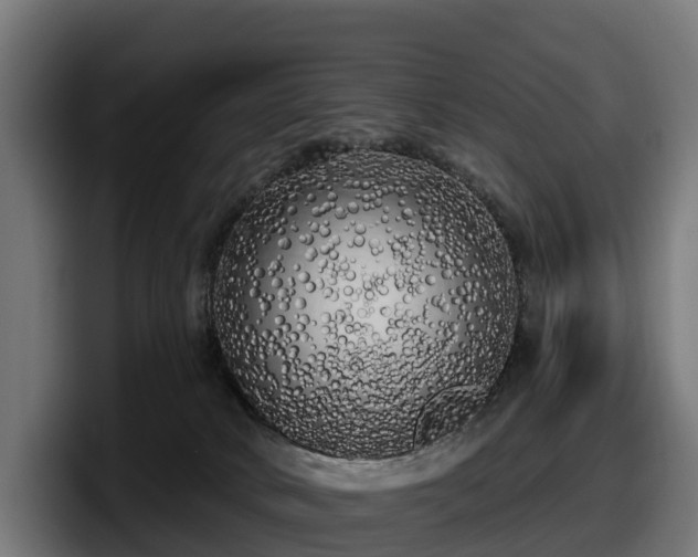 X0000097850034200803201547